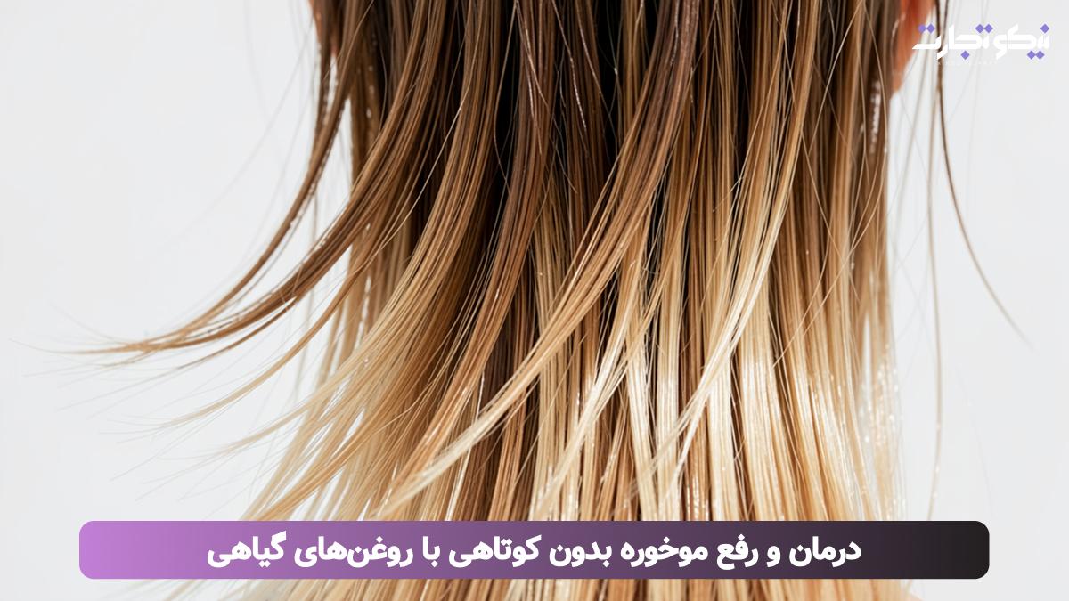 درمان و رفع موخوره بدون کوتاهی با روغن_های گیاهی